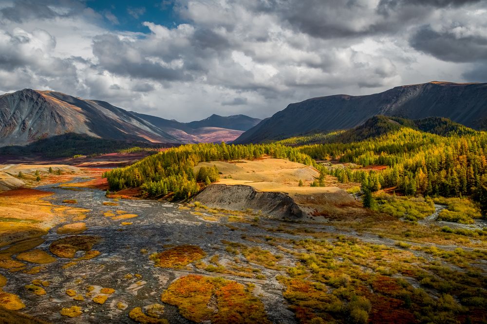 Photograph by Tatiana Meshcheryakova