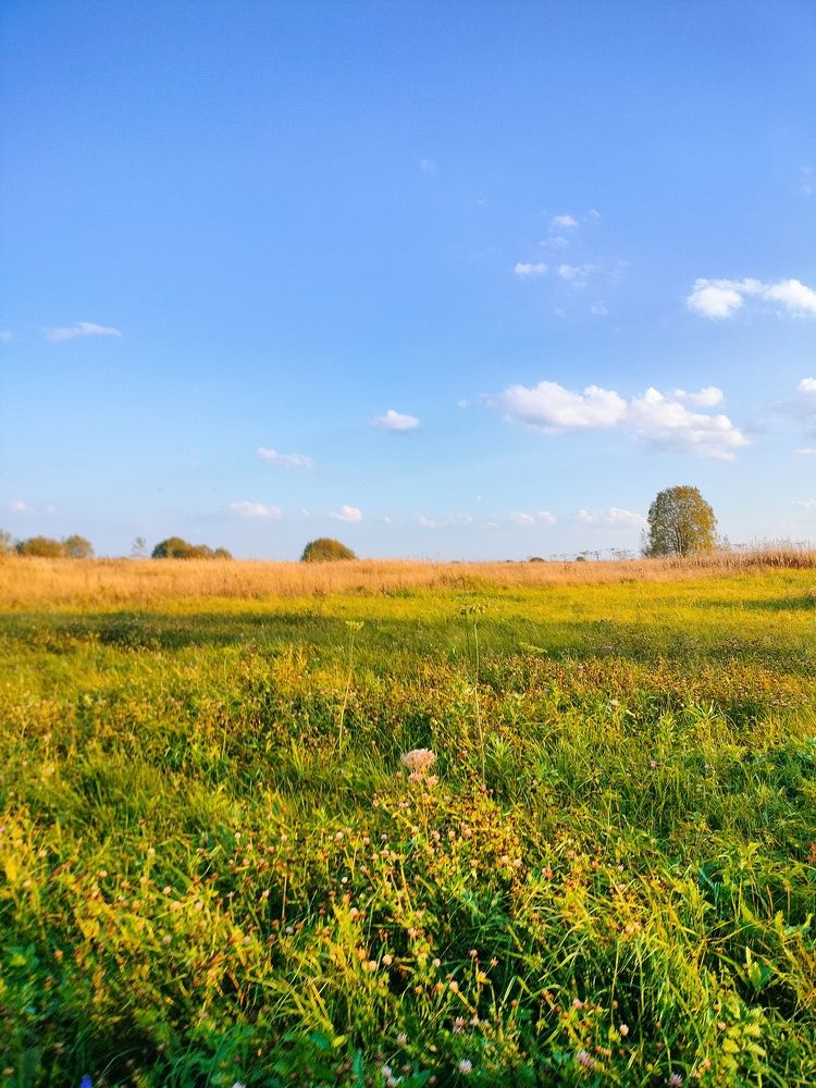 Photograph by Кристина Шацкая