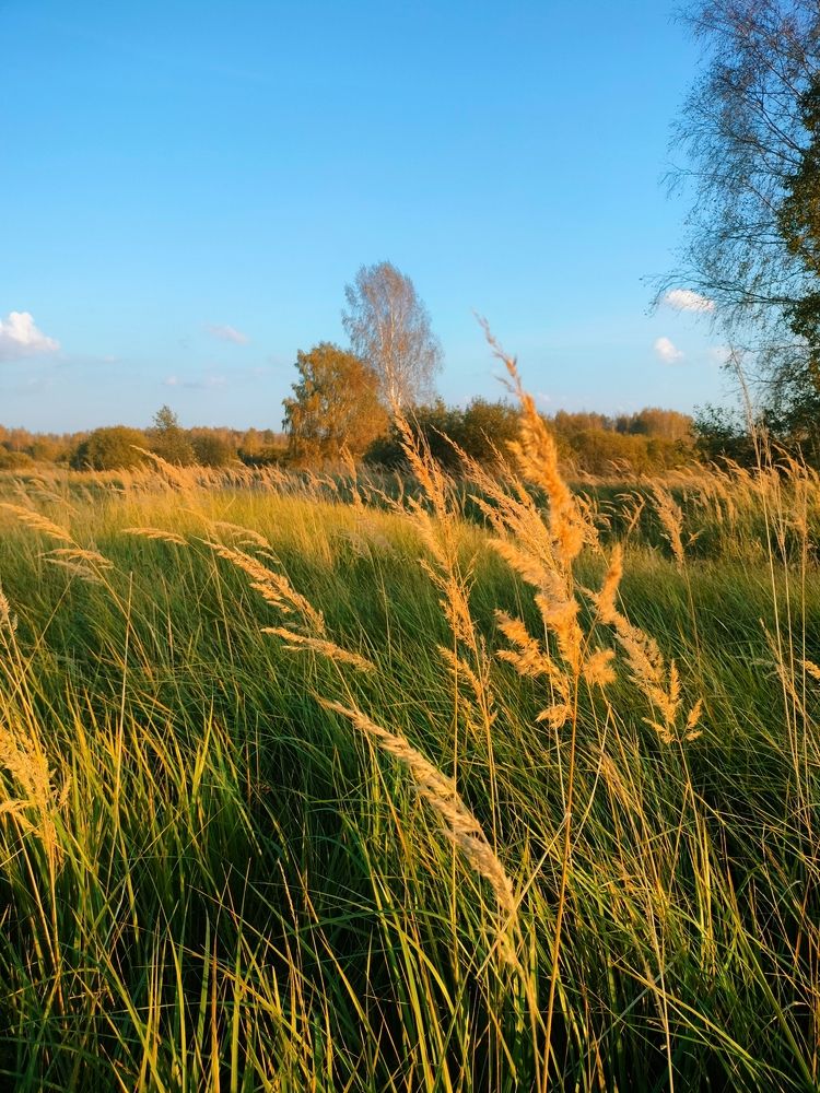 Photograph by Кристина Шацкая