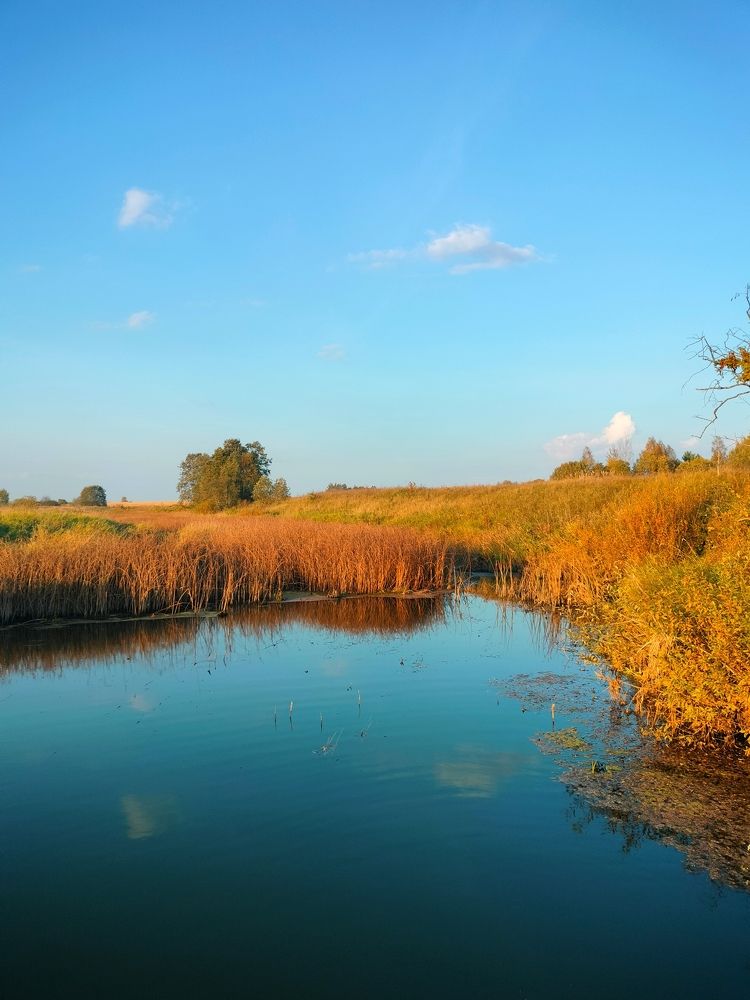 Photograph by Кристина Шацкая