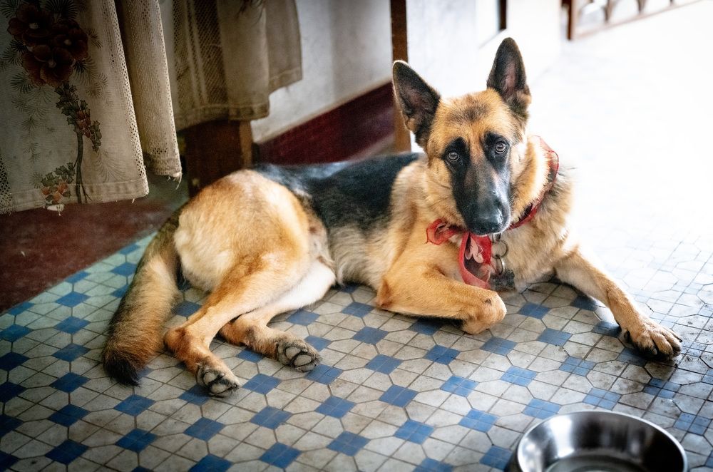 Photograph by EVELYN SIEW YEN CHAN