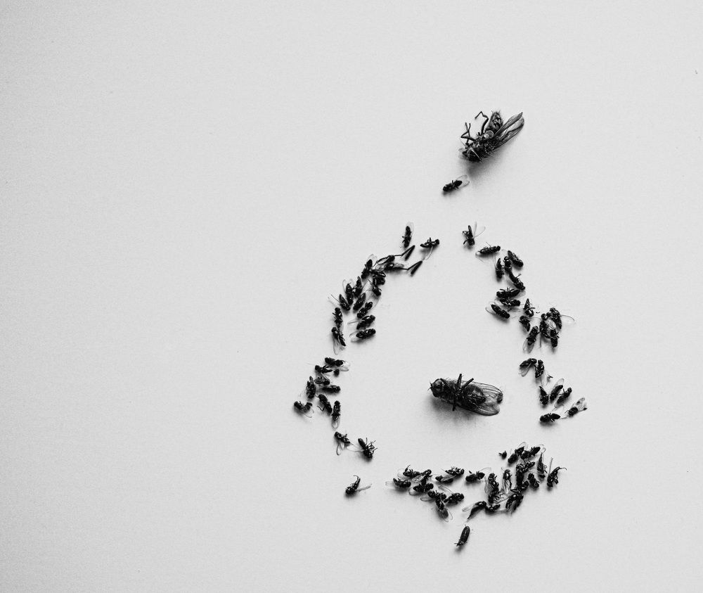 Photograph by Елена Ермакова