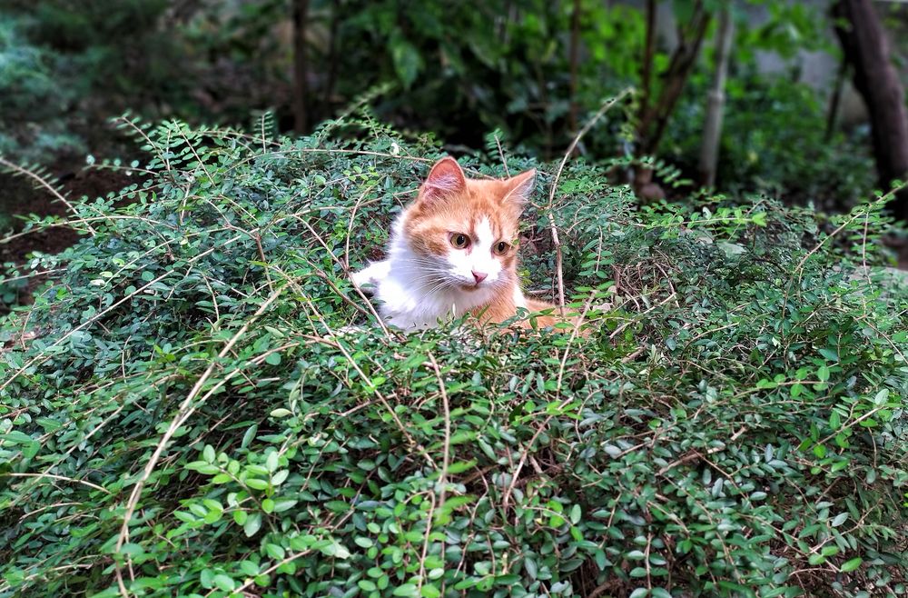 Фотография автора Milena Ivanova