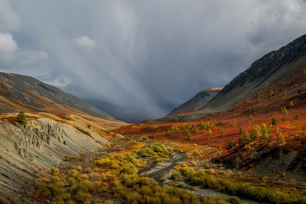 Photograph by Tatiana Meshcheryakova