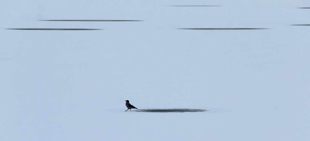 В гордом одиночестве!
