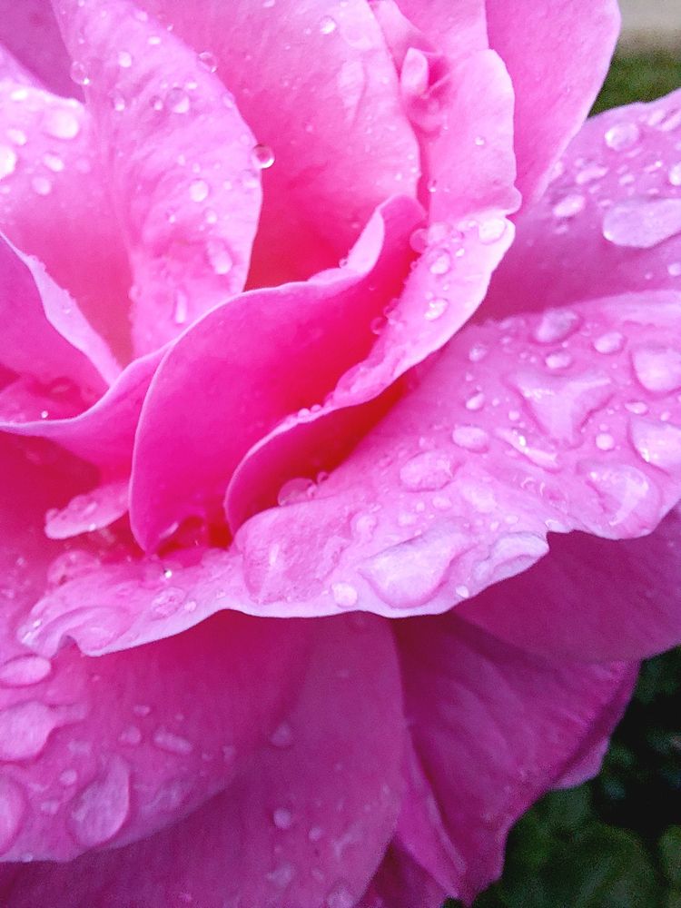 Photograph by Сергей Калинин