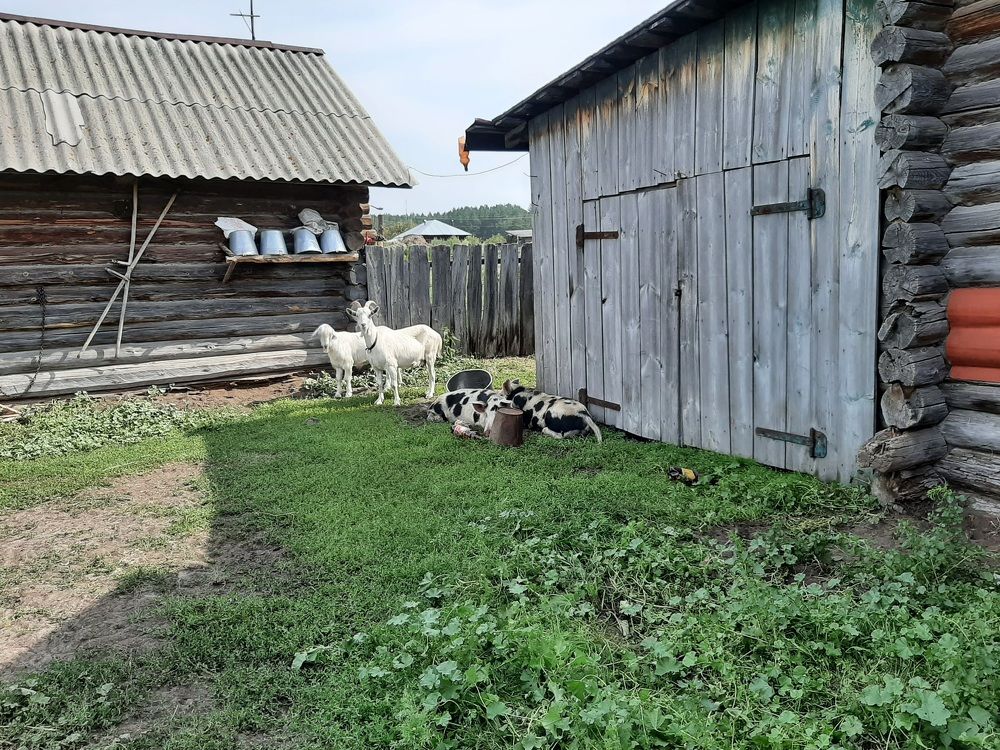 Photograph by Ирина Владимировна