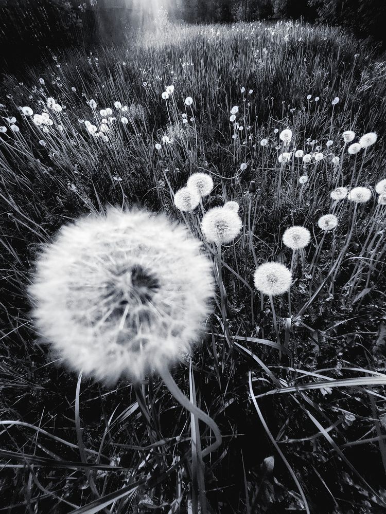 Photograph by Сергей Калинин