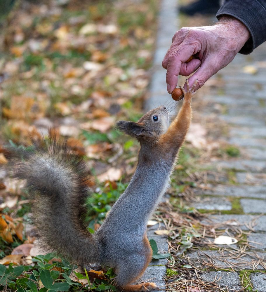 Photograph by Щепанов Дмитрий