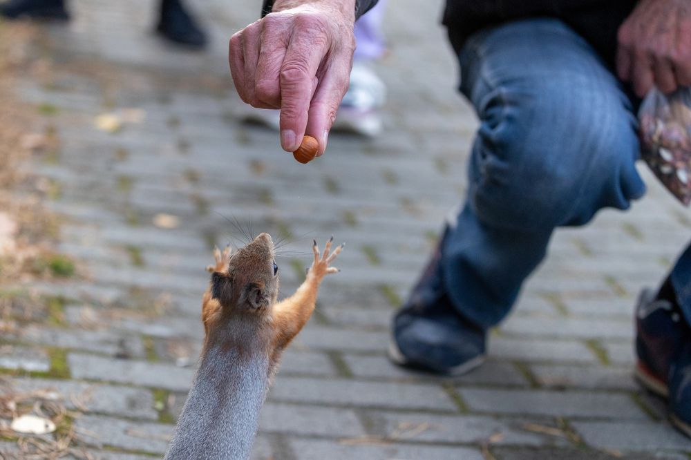 Photograph by Щепанов Дмитрий