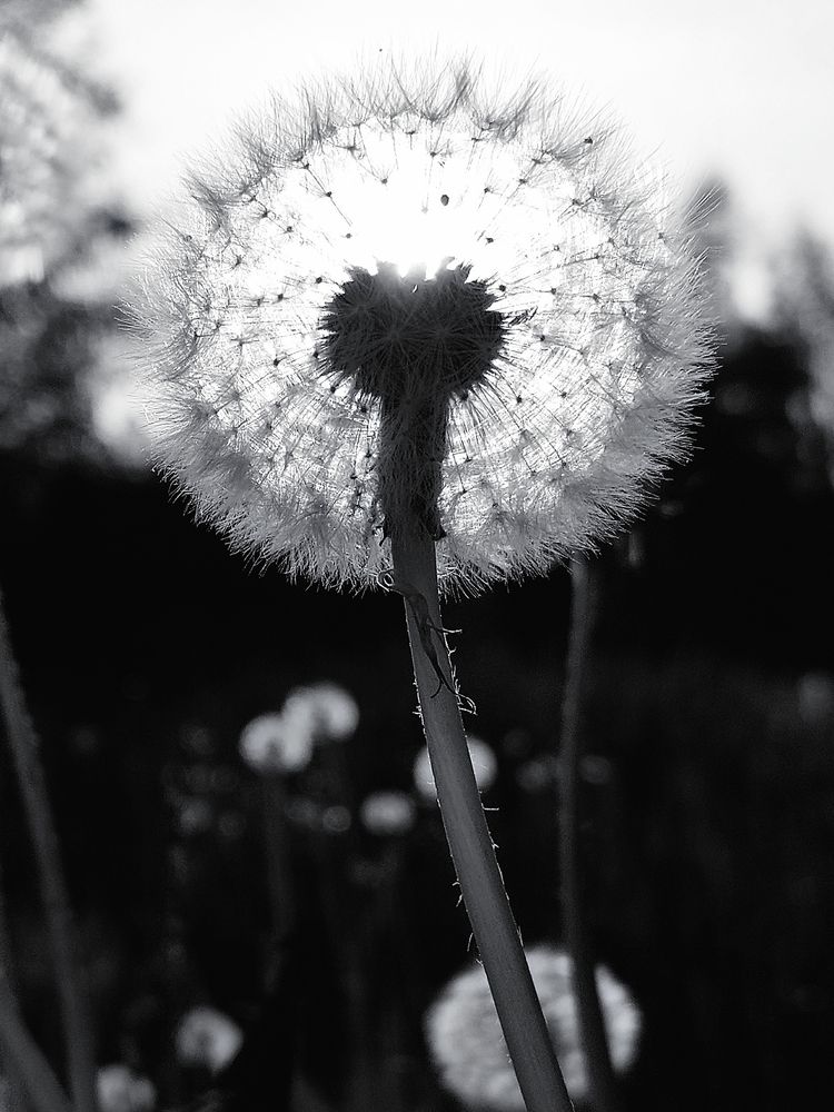 Photograph by Сергей Калинин