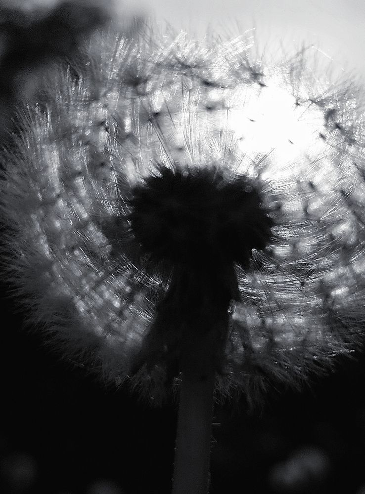 Photograph by Сергей Калинин