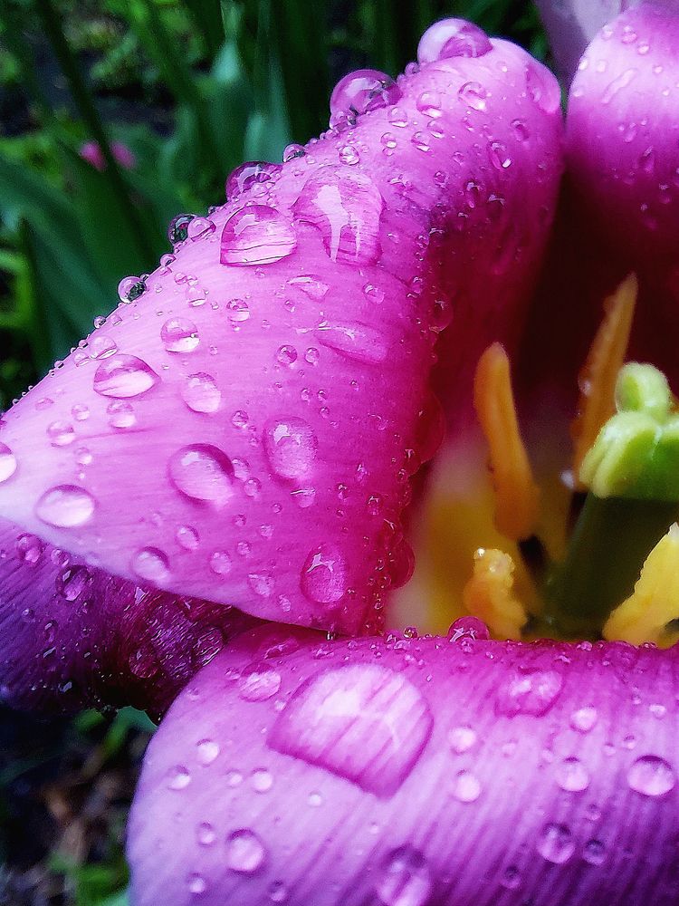 Photograph by Сергей Калинин