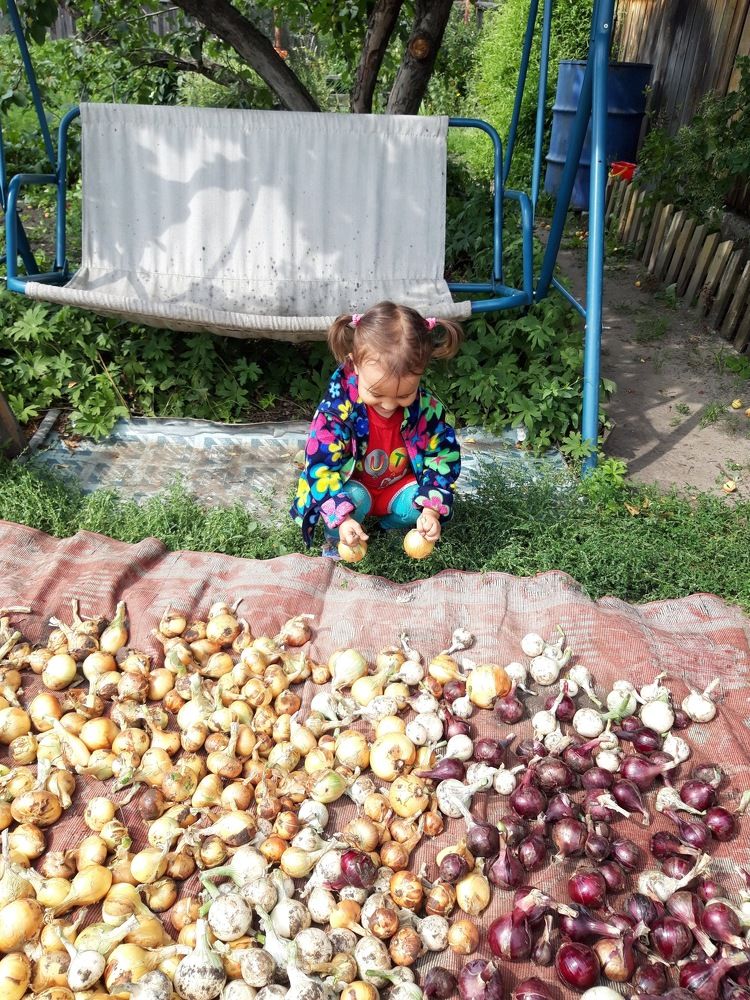 Photograph by Ирина Владимировна