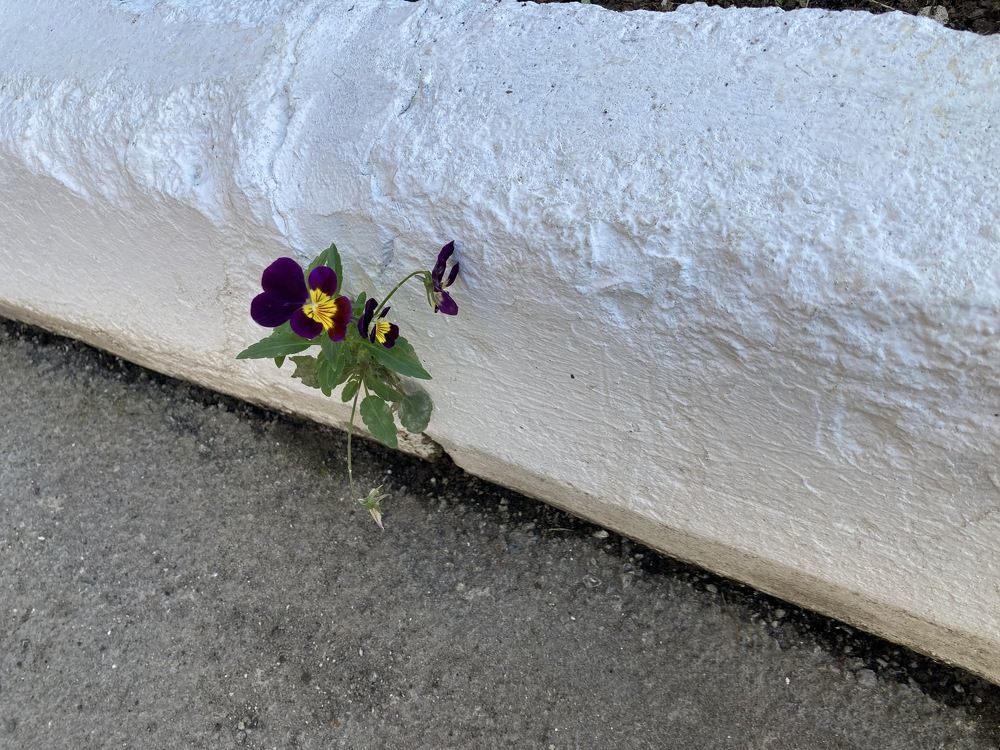 Photograph by Владислав Рубцов