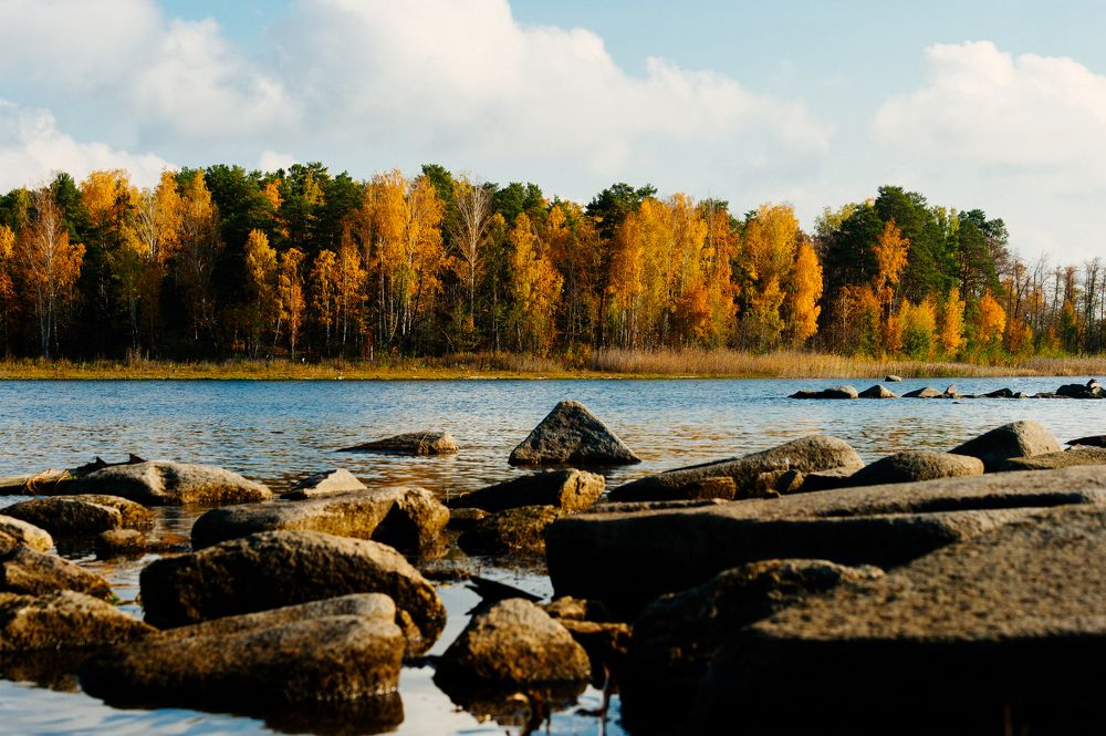 Photograph by Елена Куртеева