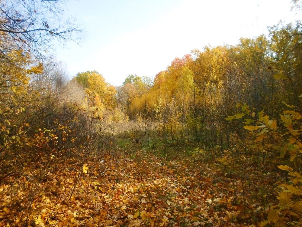 Photo #9653358