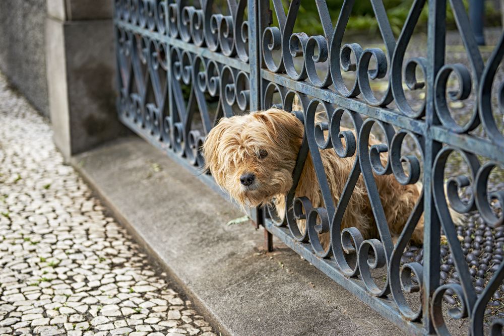 Photograph by Валерий