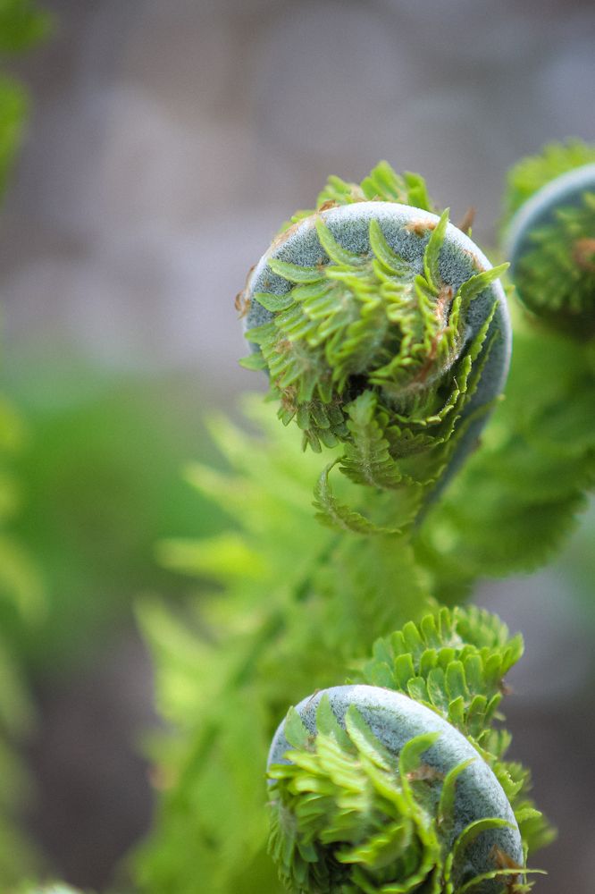 Photograph by Светлана Солдатченкова