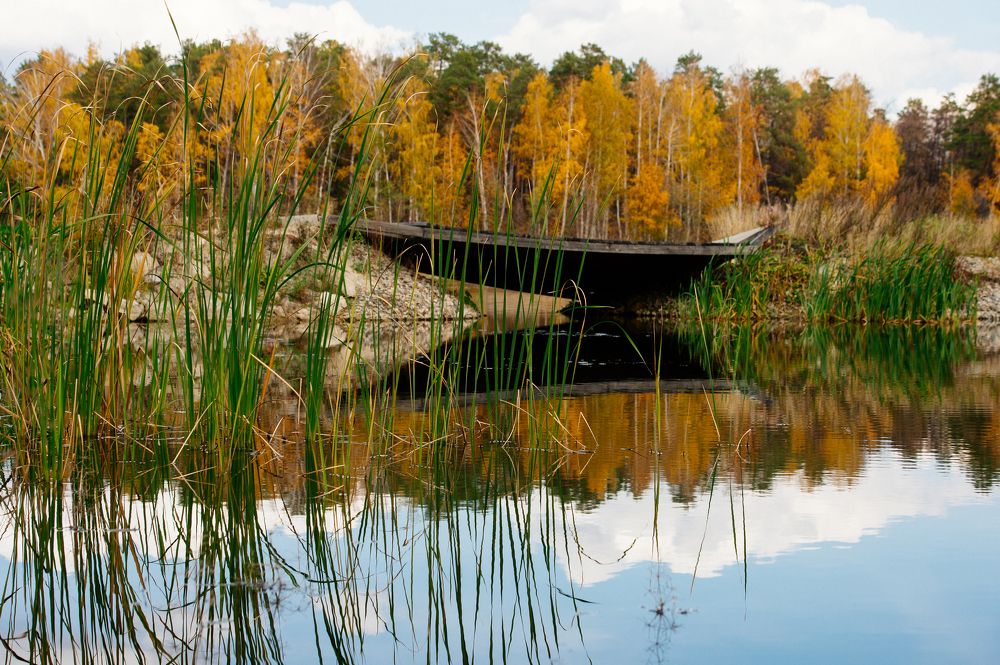 Photograph by Елена Куртеева