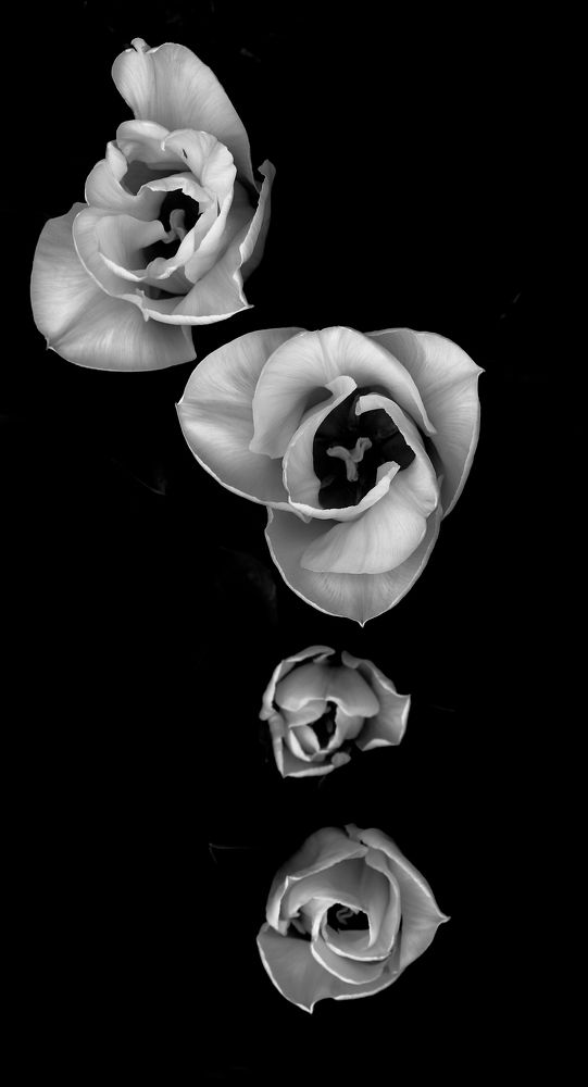 Photograph by Aleksandra