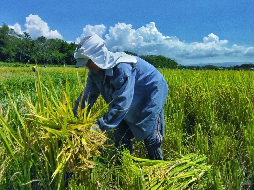 Photograph by Zea Mae N. Maynes