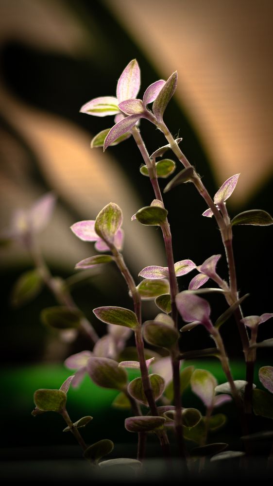 Photograph by Наталья Лобанова