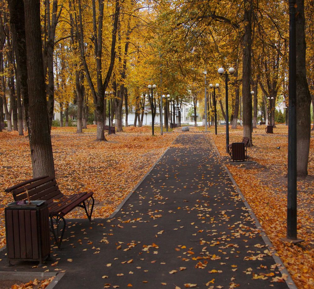 Photograph by Наталья Кирина