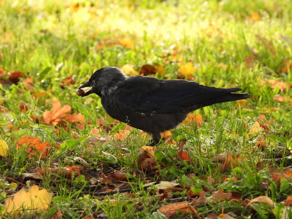 Photograph by Владимир Джерихов