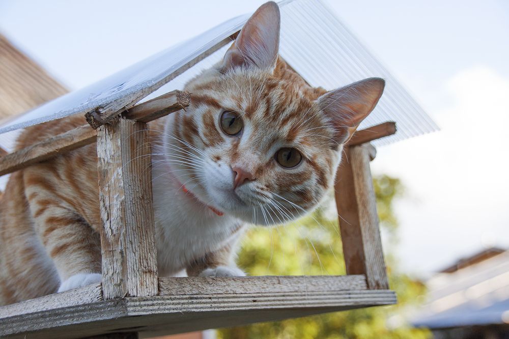 Photograph by Галина Щипакина