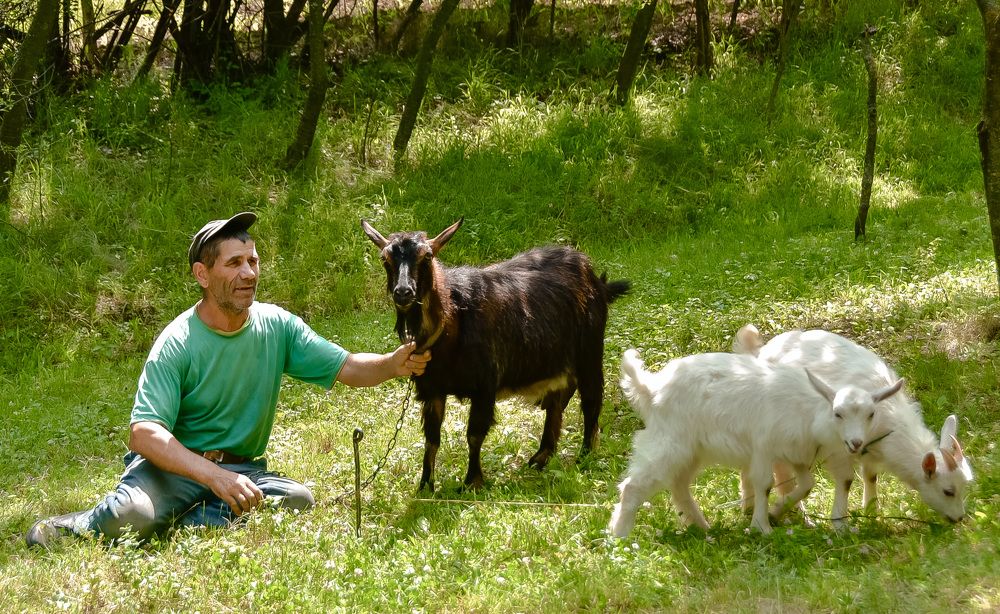 Photograph by Cornei Veaceslav