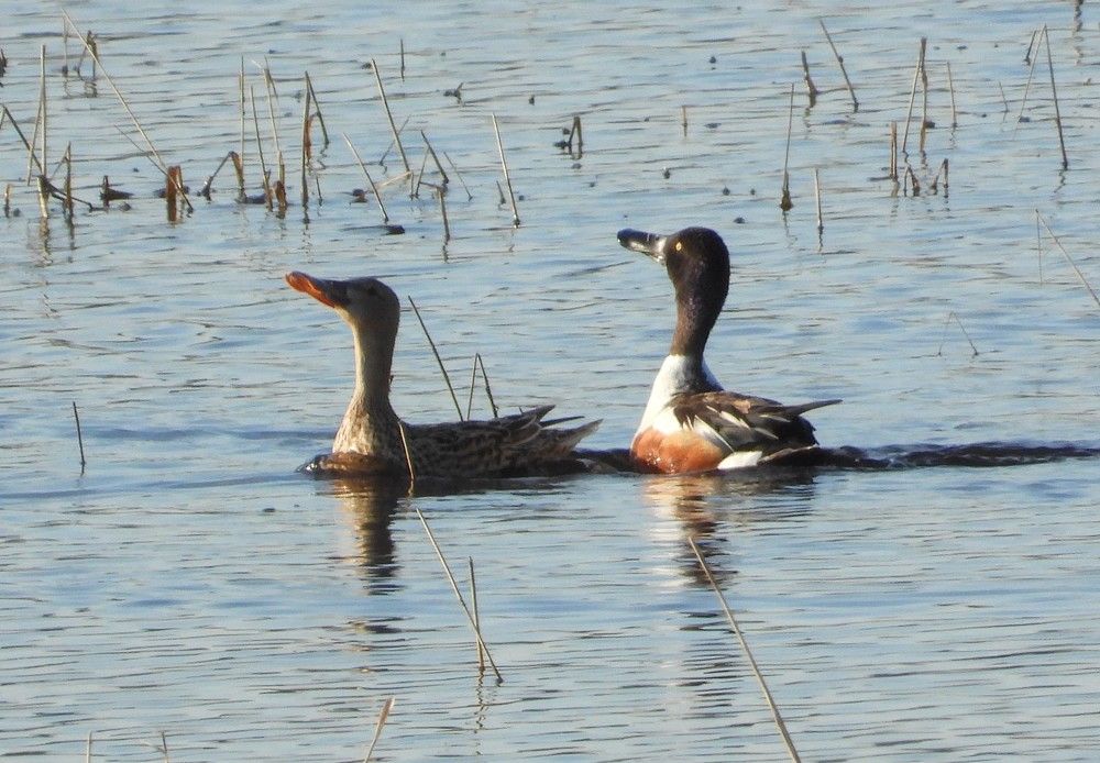Photograph by Владимир Джерихов