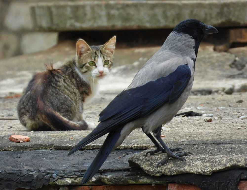 Photograph by Владимир Джерихов