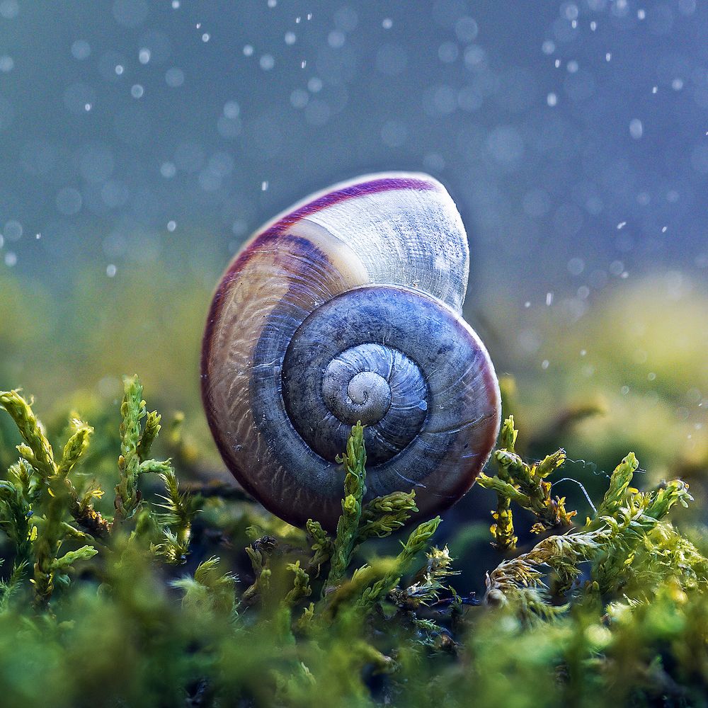 Photograph by Иван Радьков