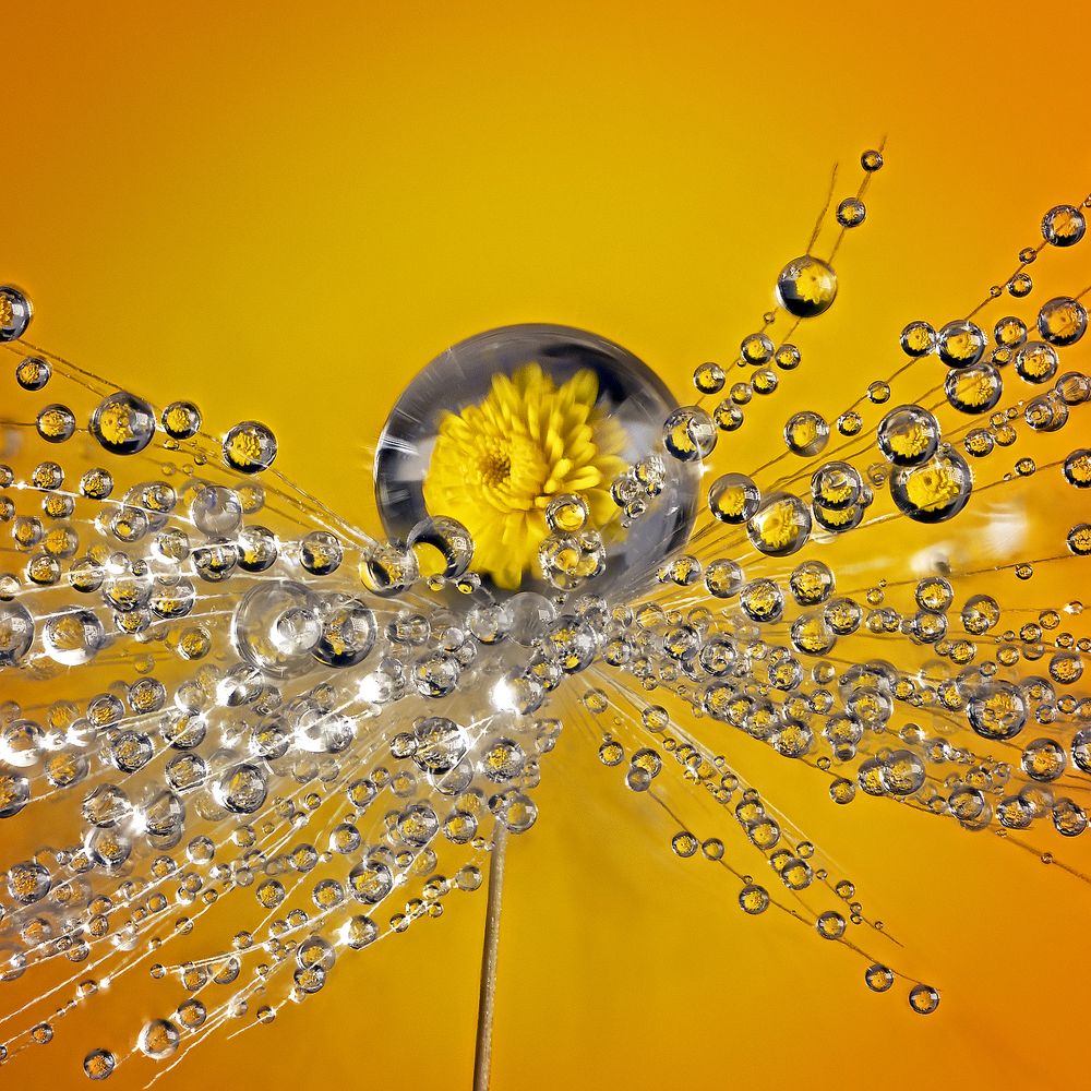 Photograph by Иван Радьков