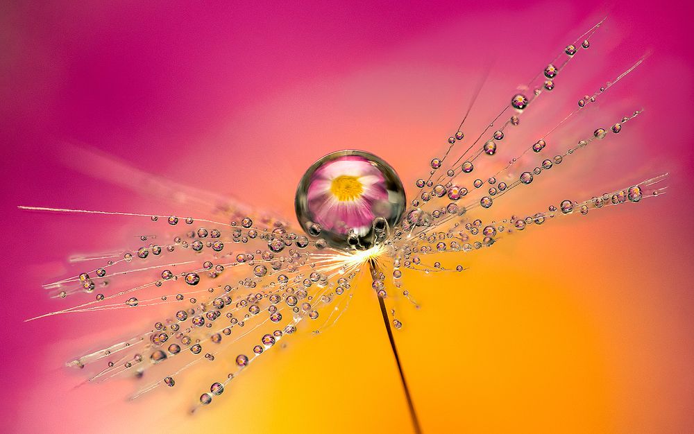 Photograph by Иван Радьков