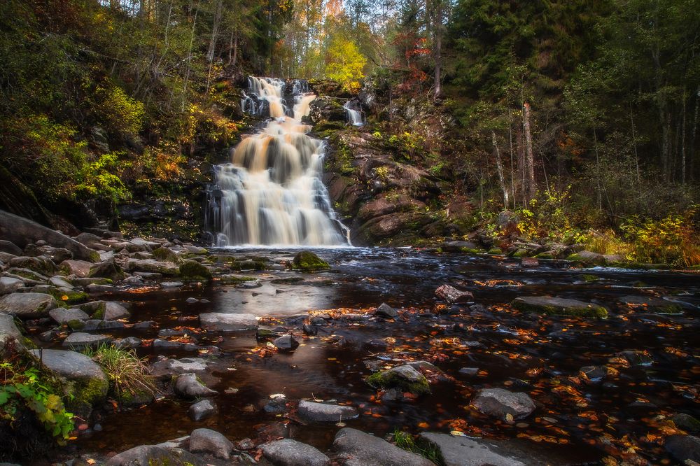 Photograph by Татьяна Кормашова