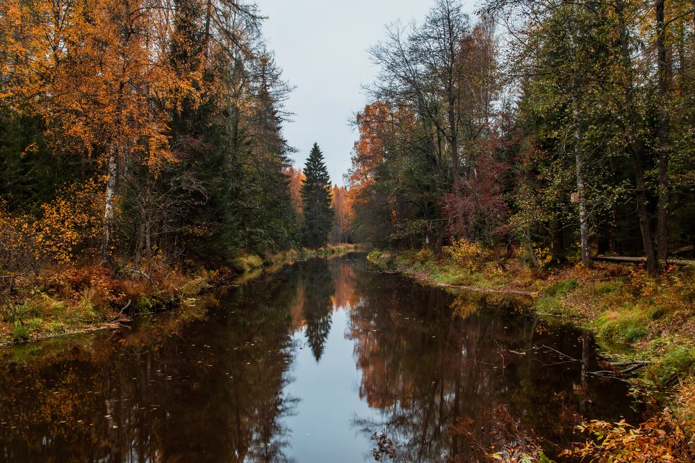 Photograph by Татьяна Кормашова