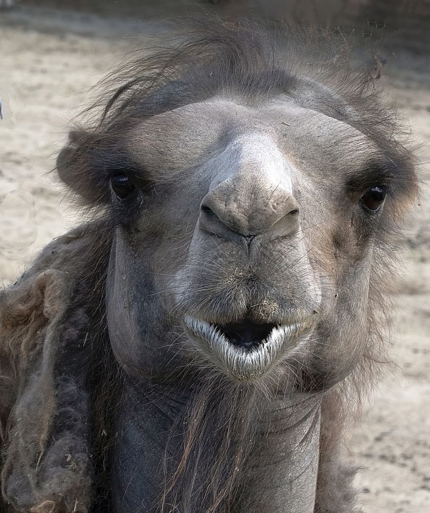 Photograph by Людмила Железнова