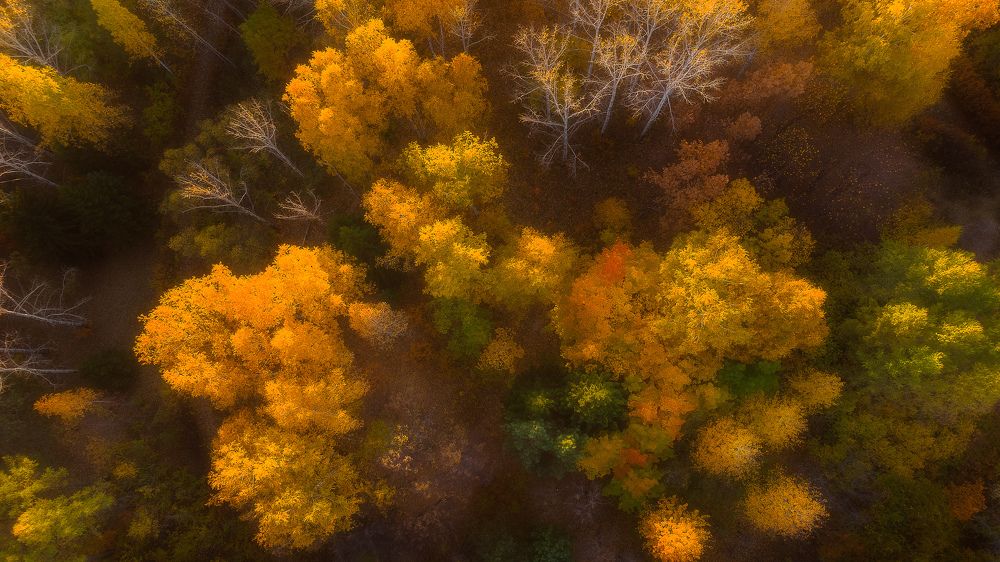 Photograph by Мария Камендова