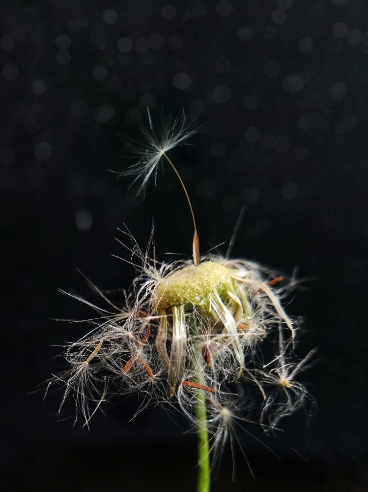 Photograph by Оксана Маракушина