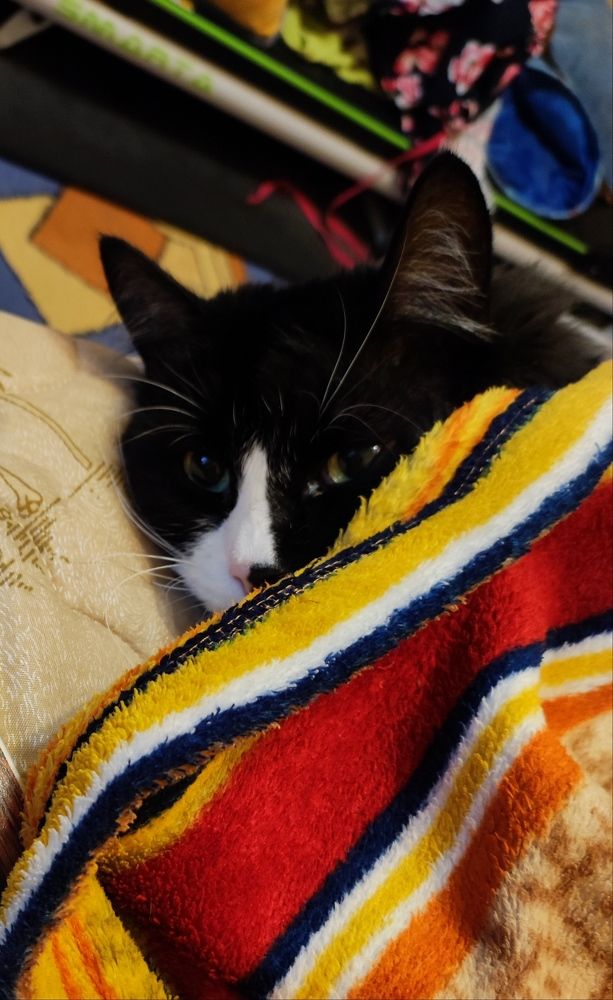 Photograph by Полина Белокопытова