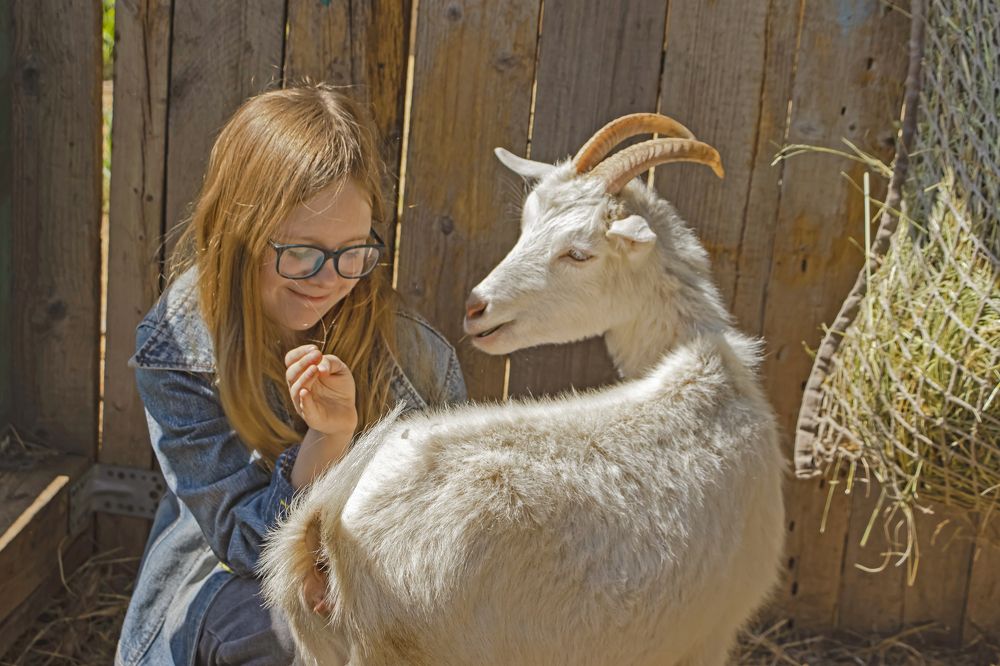 Photograph by Наталья Канарейкина