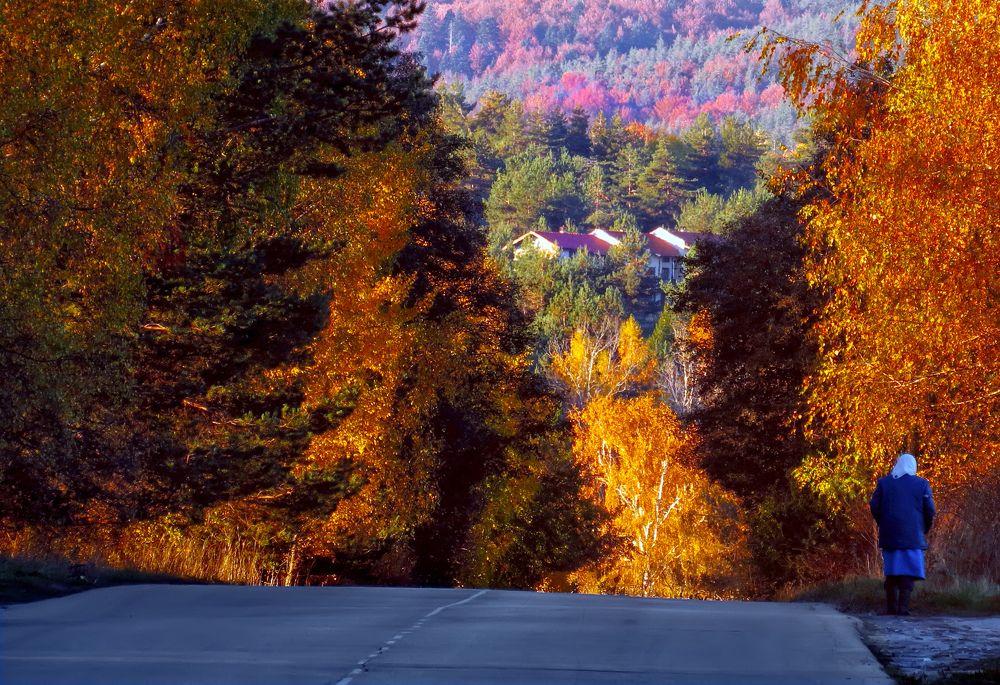 Photograph by Dimitar Denchev