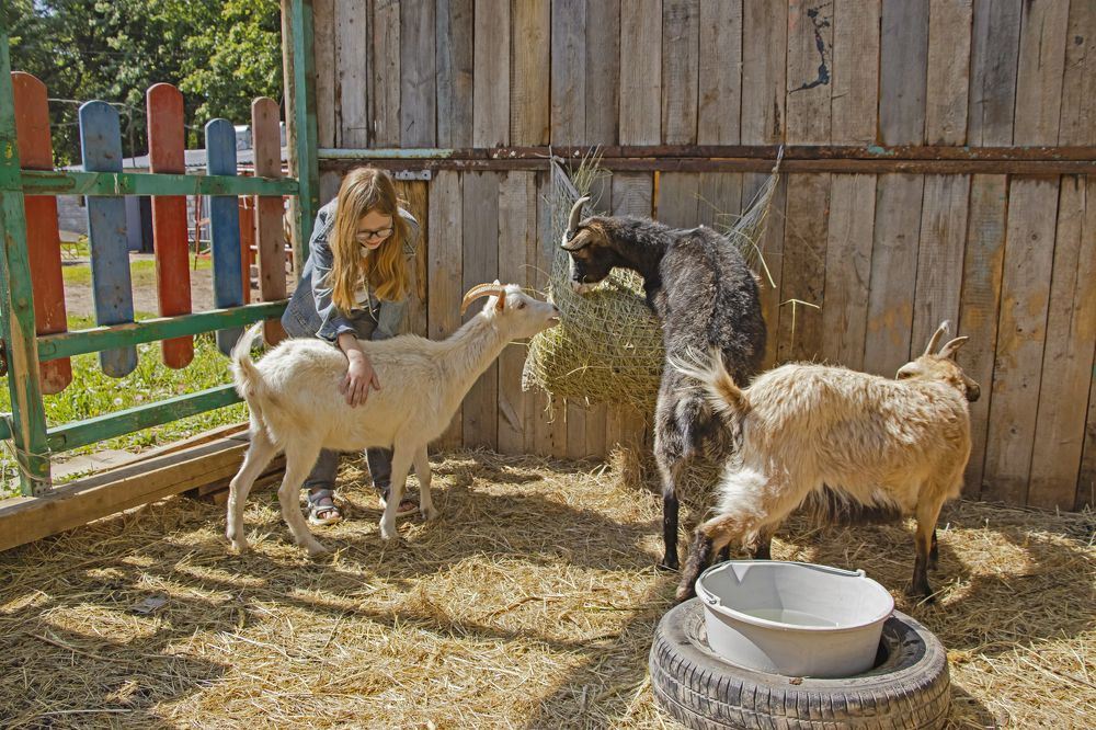 Photograph by Наталья Канарейкина