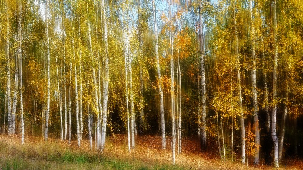 Photograph by Светлана Иванова