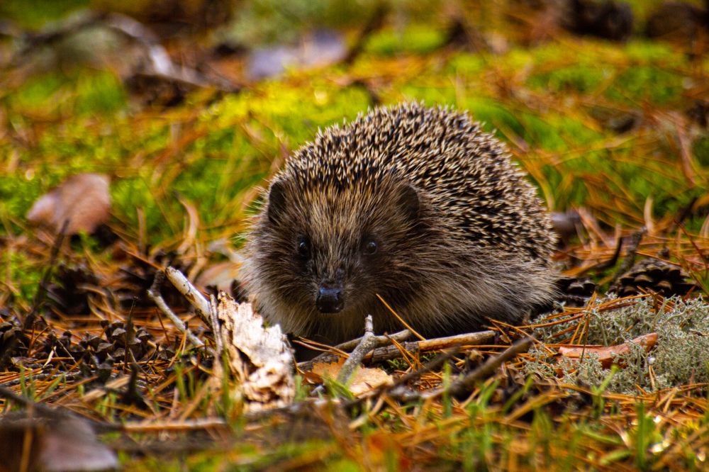 Photograph by Алексей