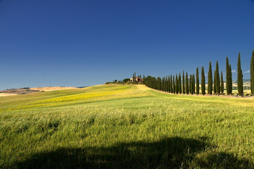 Photograph by Paolo Mola