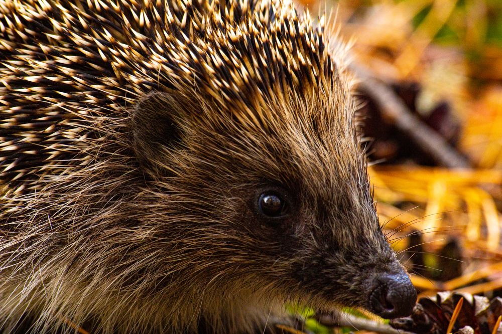 Photograph by Алексей