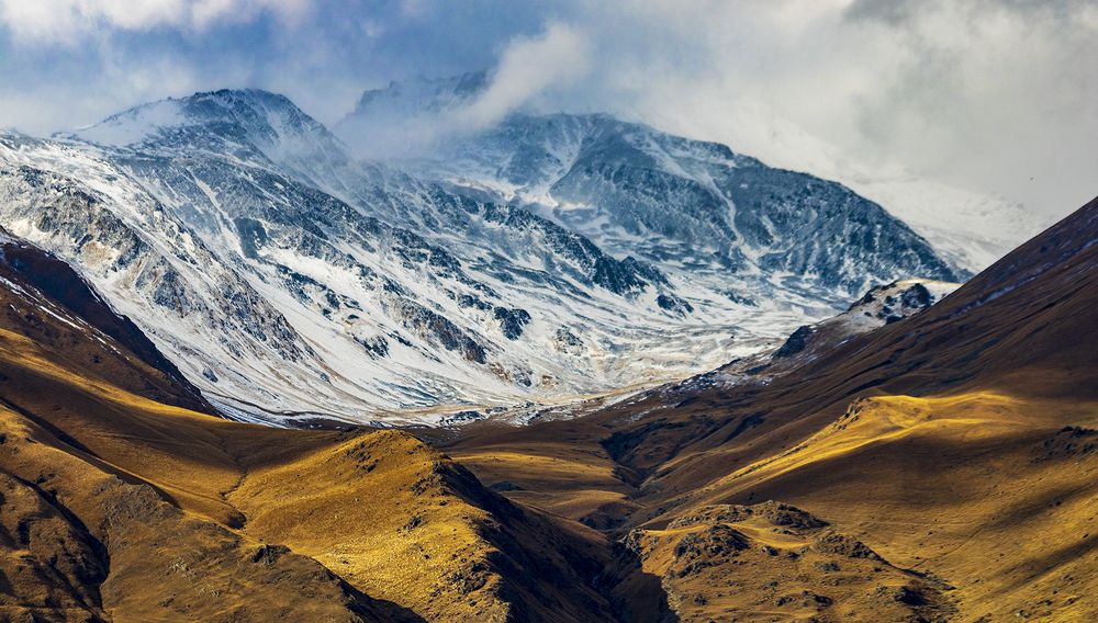 Photograph by Alex Kalpus